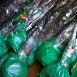 Slanje sadnica voca brzom postom