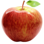 Vocne sadnice jabuke Prim ruž