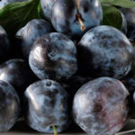 Stare sorte sljive Crnosljiva