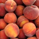 Vocne sadnice -breskva Kolins