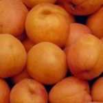 Vocne sadnice - kajsija NS 4