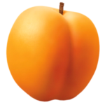 Vocne sadnice kajsije - Roksana