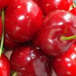 Vocne sadnice tresnje - Germerzdofska