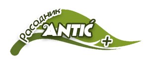 vocne sadnice antic plus logo