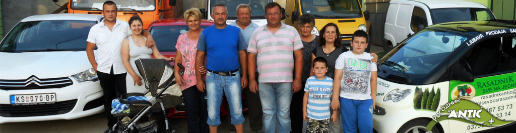 Prodaja sadnica antic plus